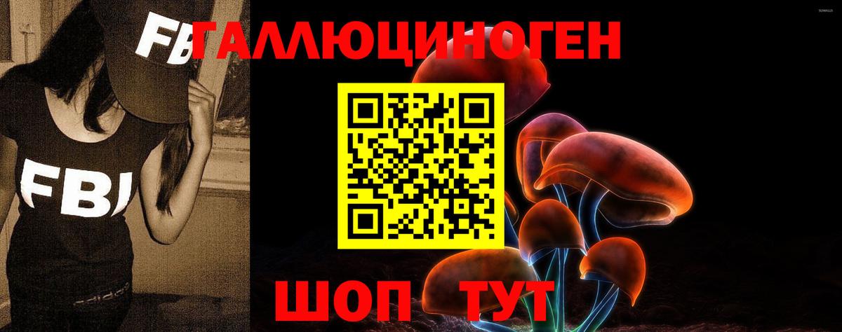 Псилоцибиновые грибы прущие грибы  Вход с VPN  Минусинск 
